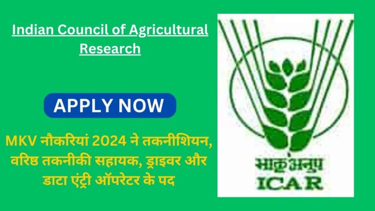 Senior Technical Assistant