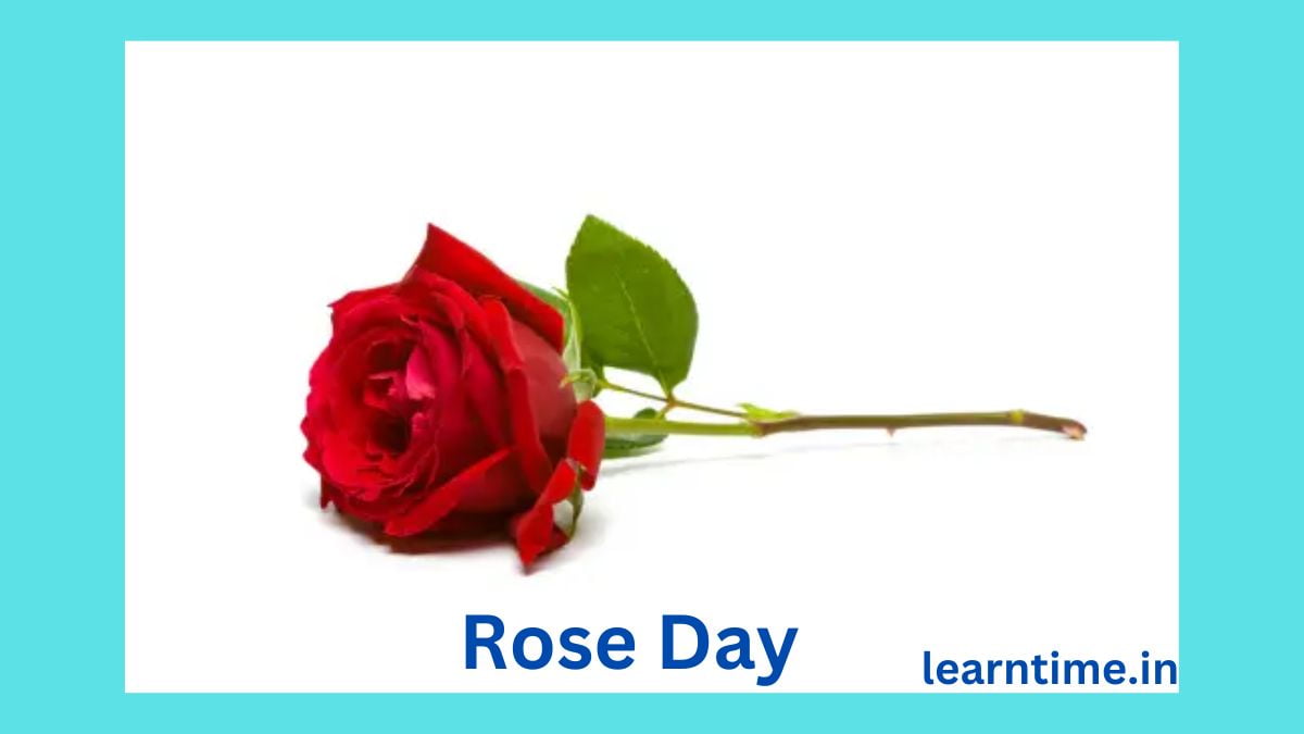 Rose Day : काय होत या दिवसी