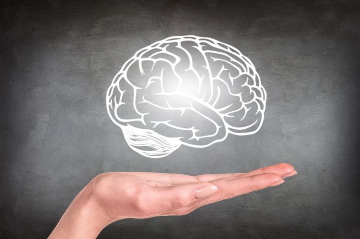 Neuronal Migration मस्तीस्क कैसे निर्माण होता है ? neuronal migration