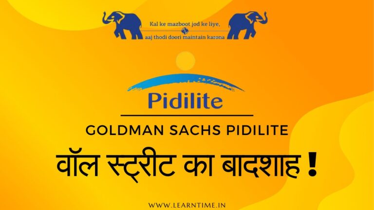 goldman sachs pidilite