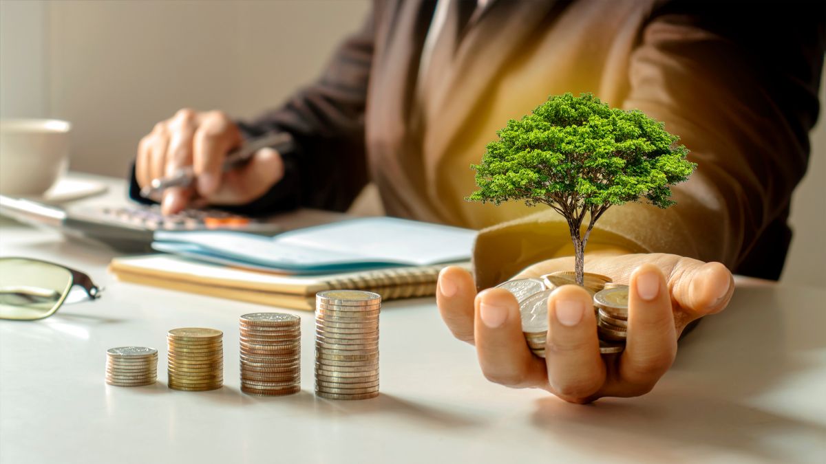 HSBC Small Cap Fund mutual fund 2024 मे निवेश करणे का अच्छा अवसर HSBC Small Cap Fund